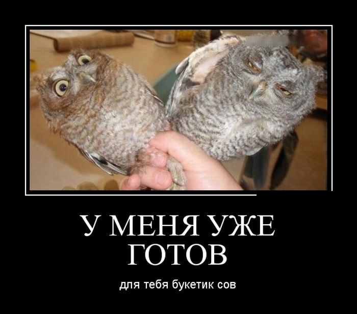 Демотиваторы прикольные, позитив дня.