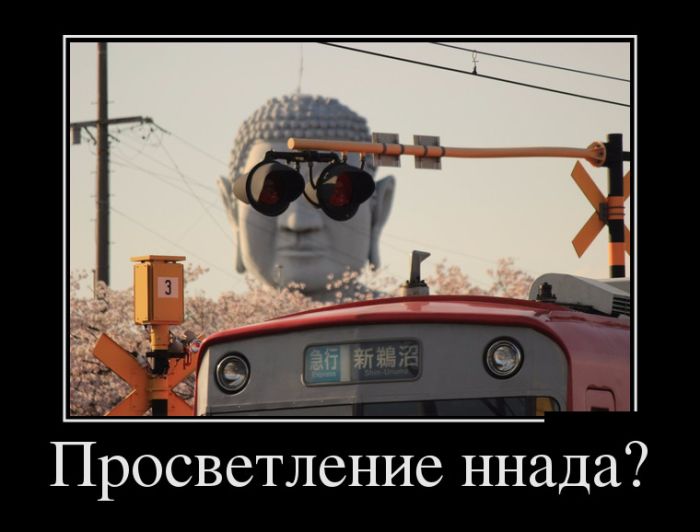 Приколы новые демотиваторы, смешные фразы и картинки.