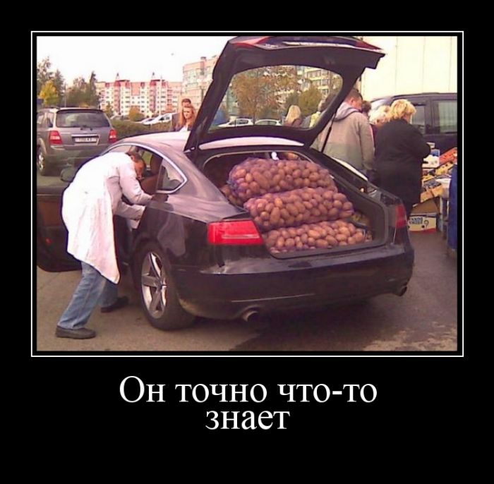 Демотиваторы поднимут любое настроение.
