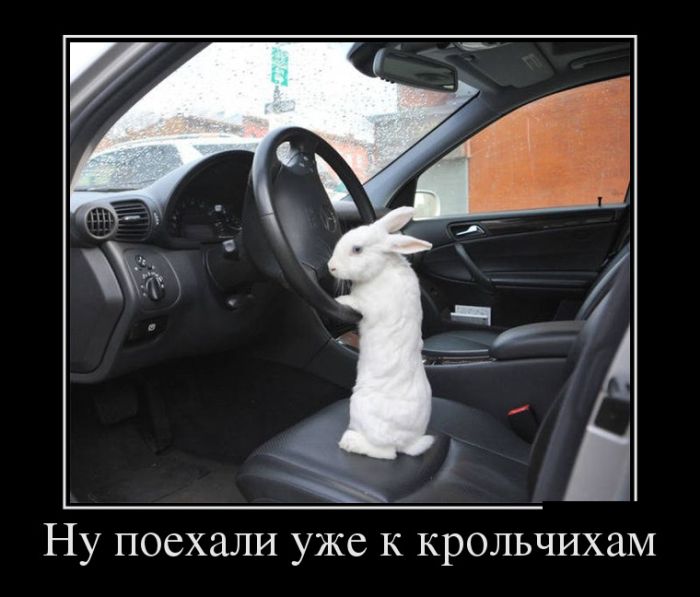 Шутки шутками, а демотиваторы то прикольные.