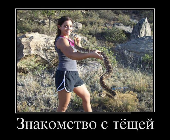 Демотиваторы для прикольного настроения.