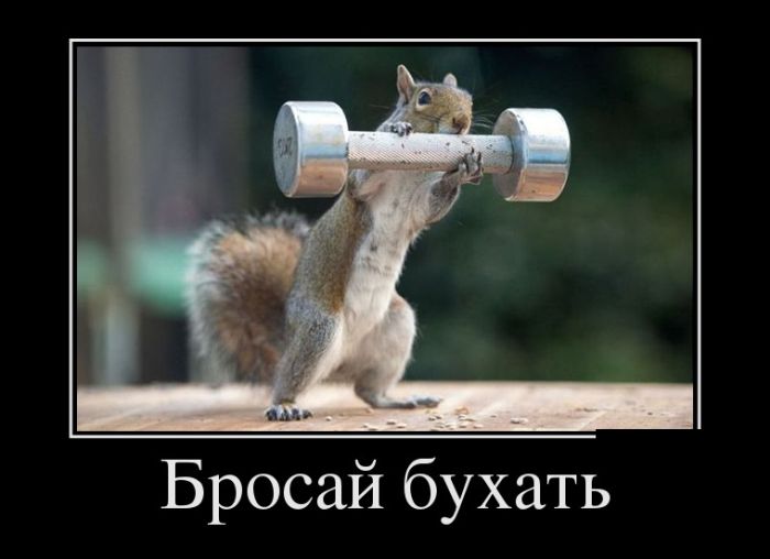 Демотиваторы и чашка крепкого кофе, вот что с утра нужно.