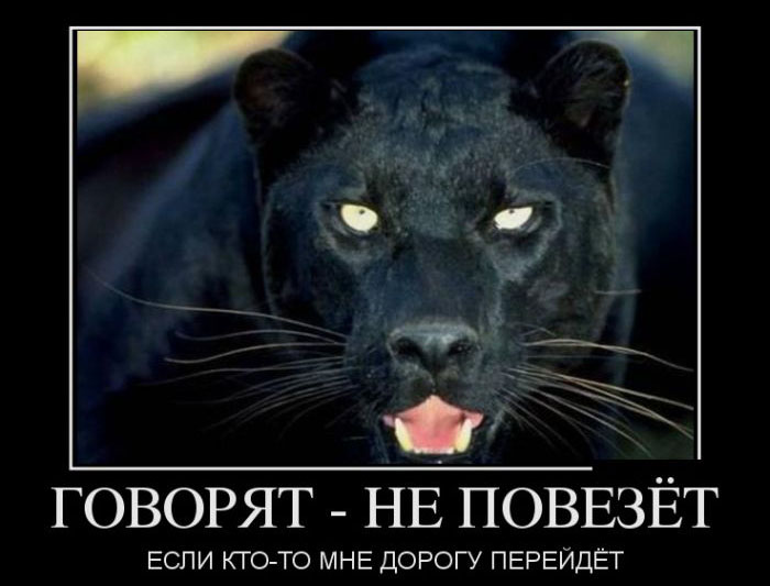 Демотиваторы, приколы хоть отбавляй.