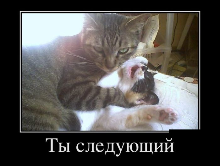 Демотиваторы, приколы для девушек и парней.