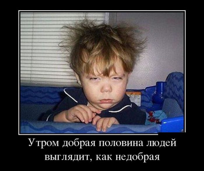 Демотиваторы, новые картинки с фразами.