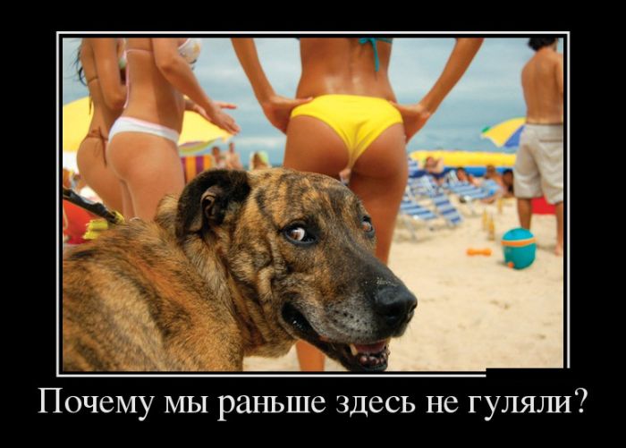 Новые демотиваторы, приколы без очереди.