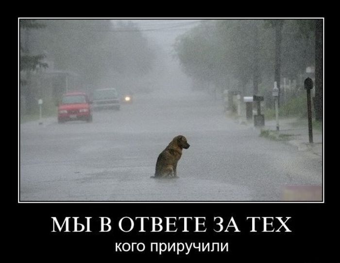 Классная подборка новых демотиваторов.