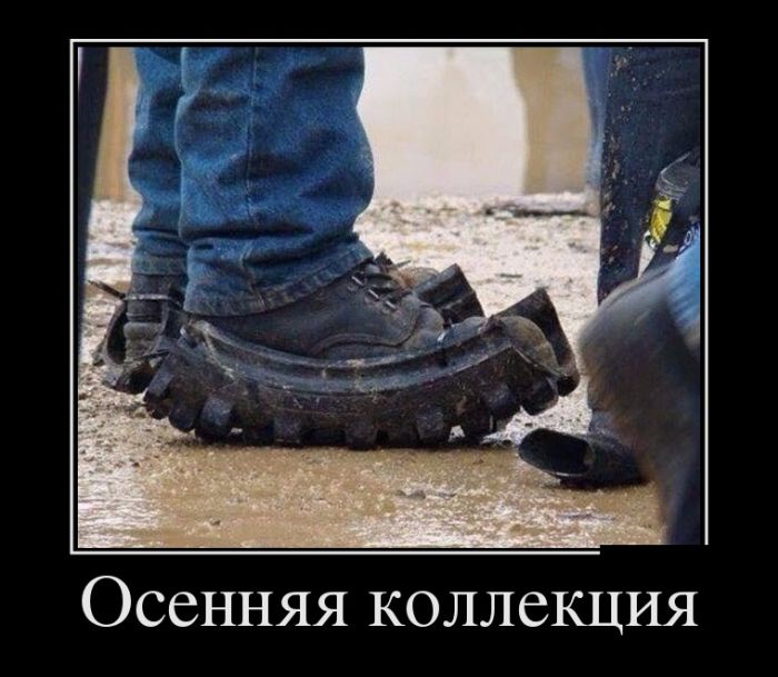 Демы с юмором новые.