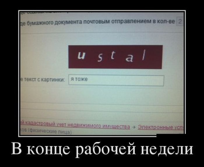 Демотиваторы приколы - залог отличного настроения!