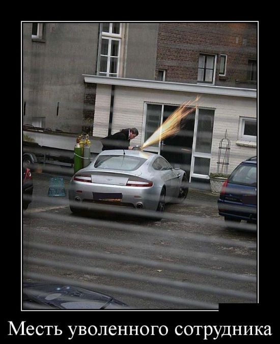 Прикольные демотиваторы фото.