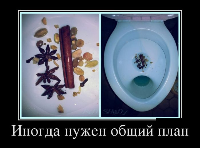 Веселое настроение гарантировано! Демотиваторы.