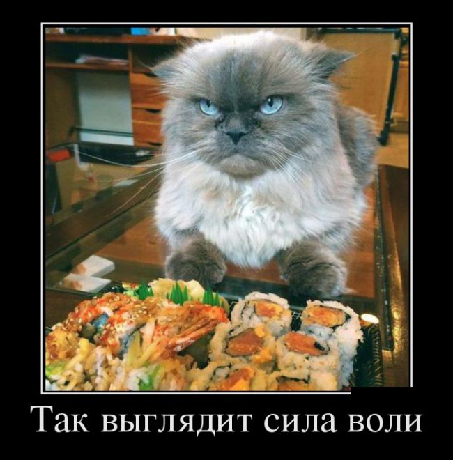Подборка ржачных демотиваторов.