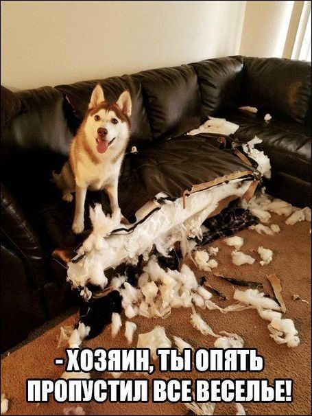 За фото приколы и здоровый образ жизни!