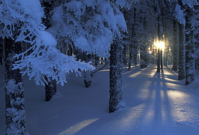 Картинки про зиму