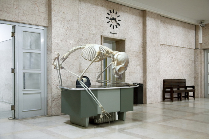 Фото сессия скелетов ископаемых