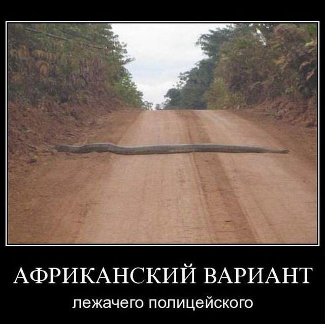 И снова демотиваторы.