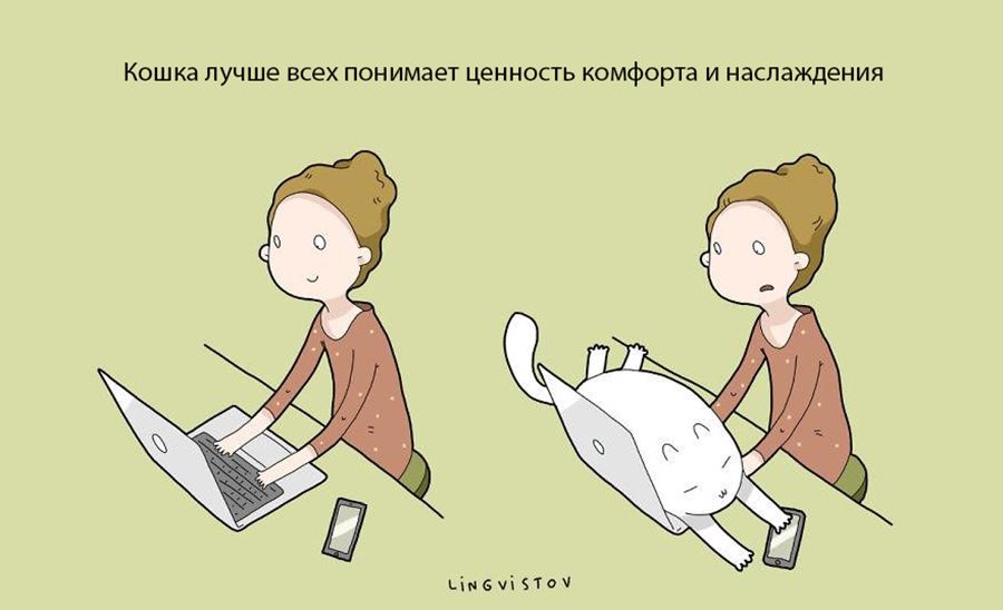 Преимущество в том, что бы завести себе кошку