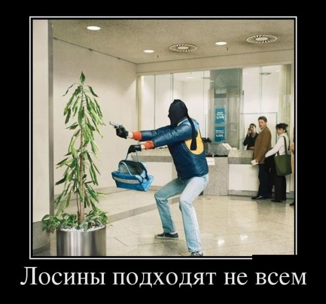 Прикольные демотиваторы и все у нас будет.