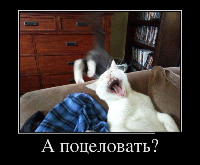 Убойные и прикольные демотиваторы.
