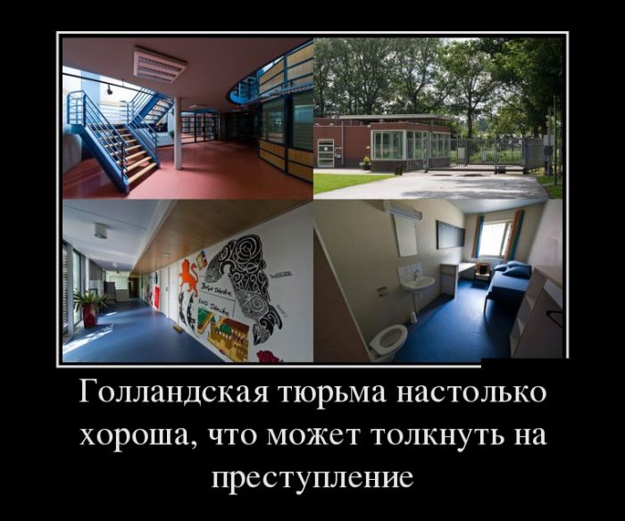 Демотиваторы, лучшие за день.