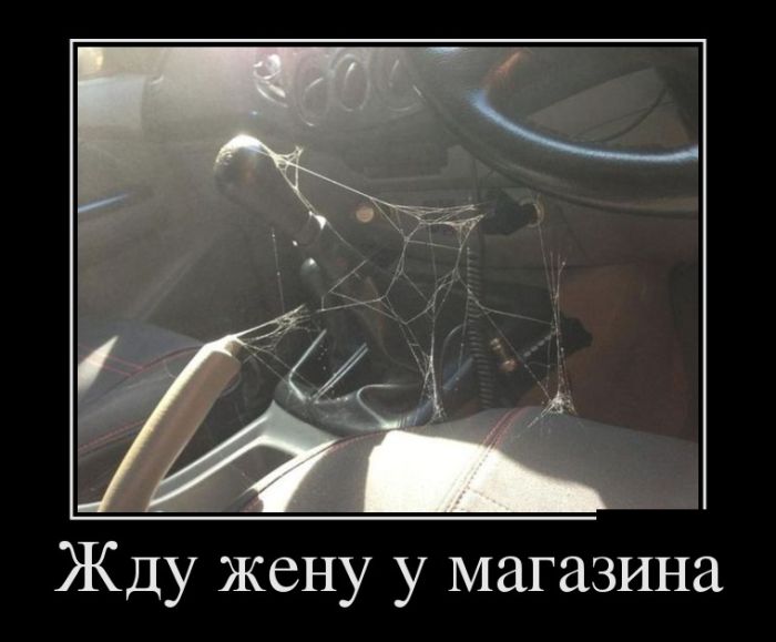 Новые и прикольные демотиваторы.