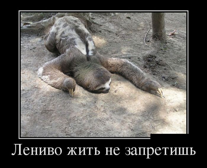 Прикольных демотиваторов давно не было.