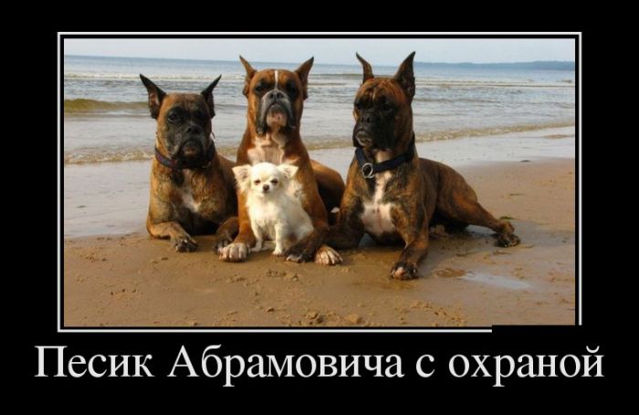 Демотиваторы смотреть нужно только новые.