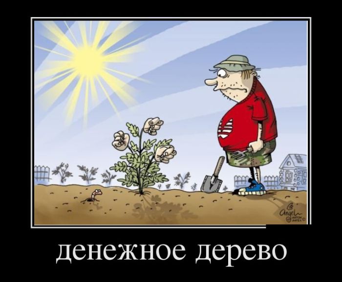 Демотиваторы с приколами, новые за день.