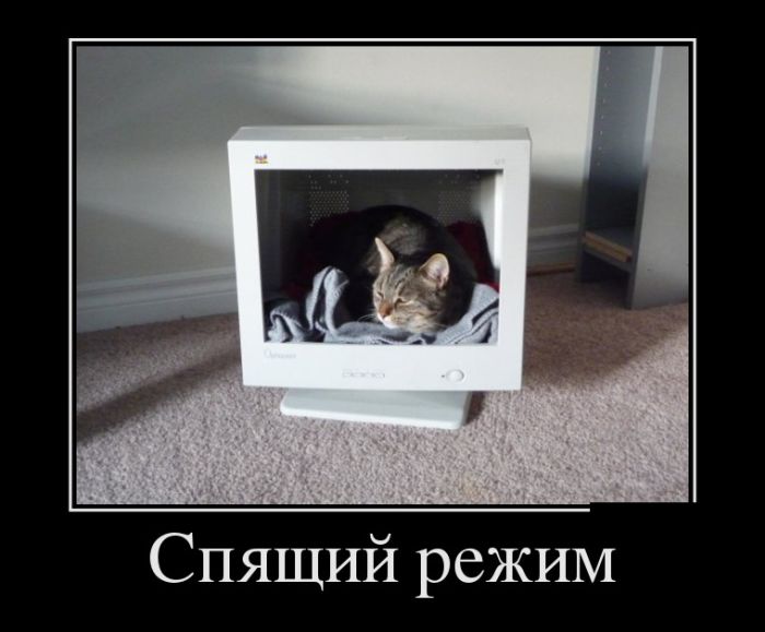 Прикольные демотиваторы, смешные девушки и парни.