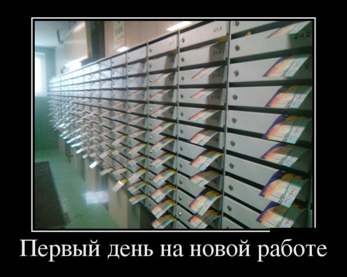 Демотиваторы, прикольные фотки и новые фразы.
