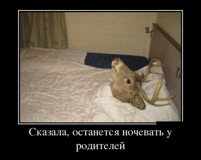 Новые демотиваторы, приколы без очереди.