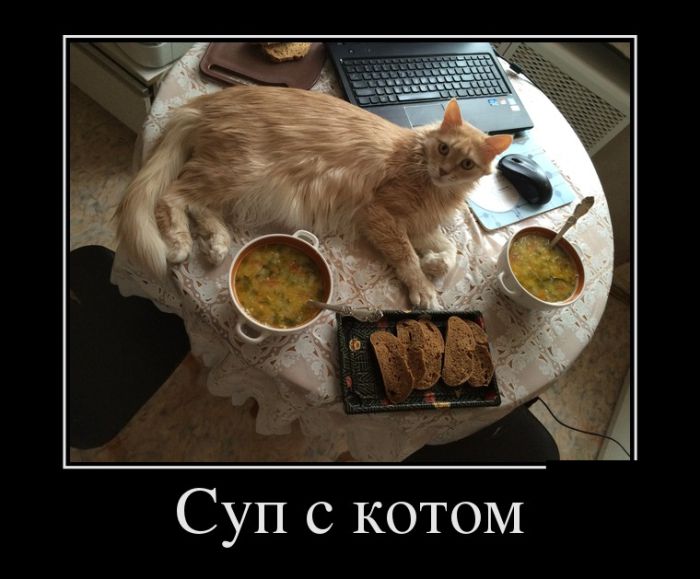 Демотиваторы лучшие по итогам.