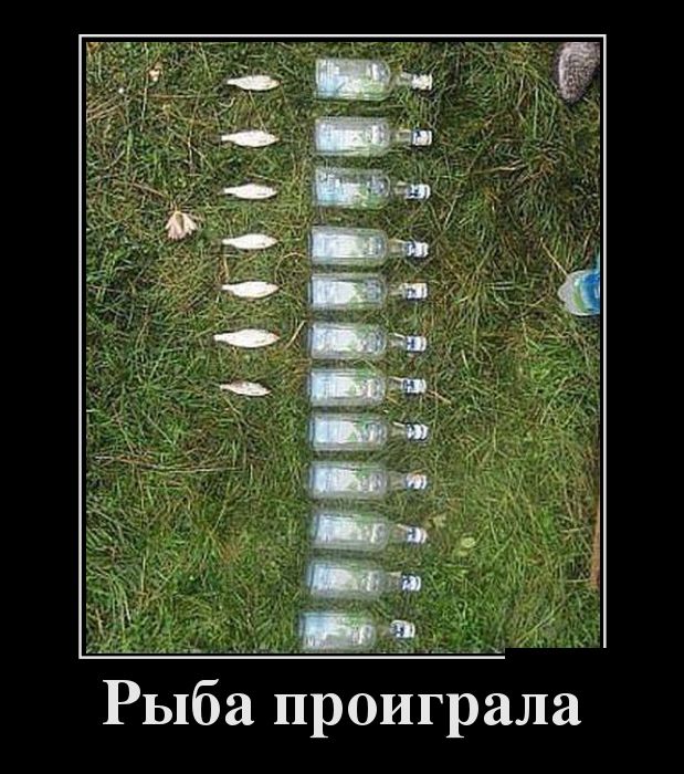 Демотиваторы. надеюсь не последние.
