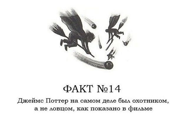 Интересные факты о Гарри Поттере.