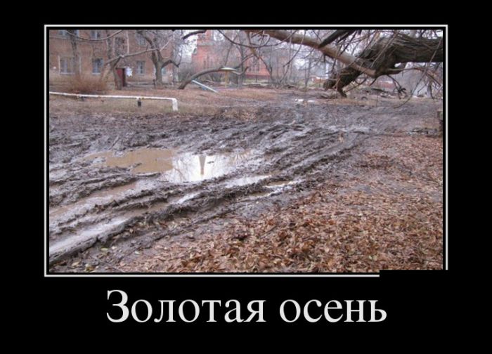 Демотиваторы не лихорадит.
