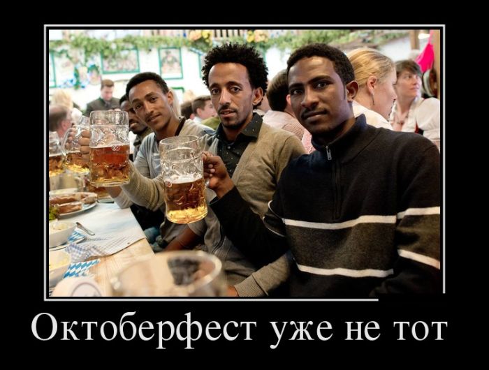 Демы с юмором новые.