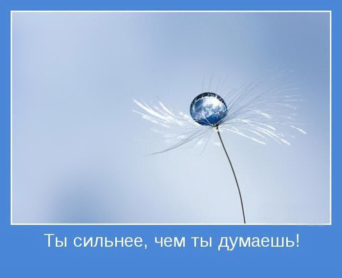Мотиватор в картинках