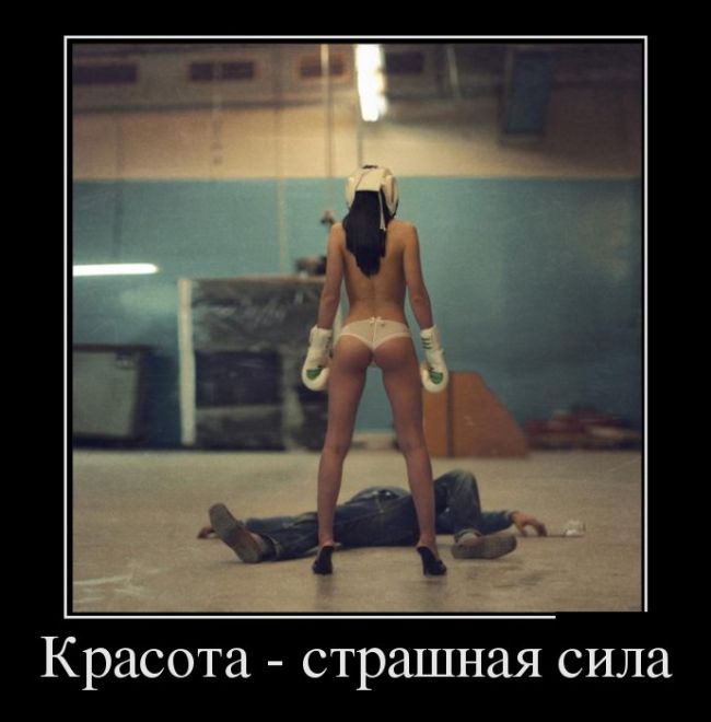 Демотиваторы приколы - залог отличного настроения!