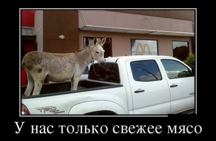 Демотиваторые новье.