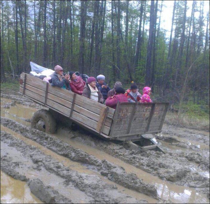 Прикольные картинки.