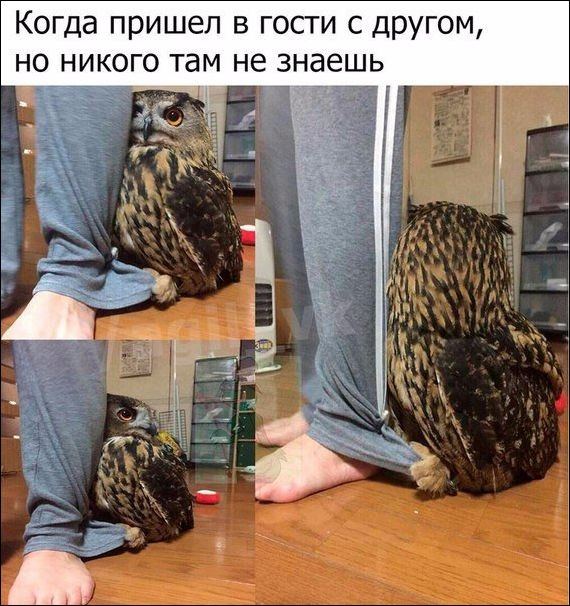 За фото приколы и здоровый образ жизни!