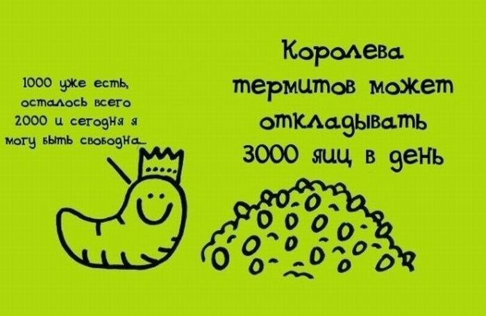 Интересные Факты, тема продолжается.