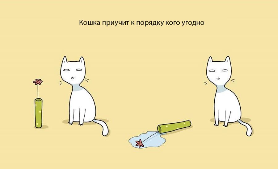 Преимущество в том, что бы завести себе кошку