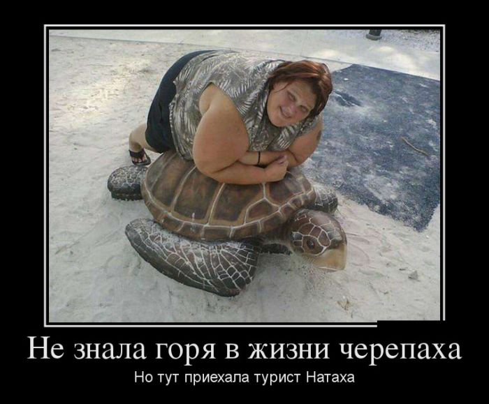 Новые демотиваторы, все больше приколов.