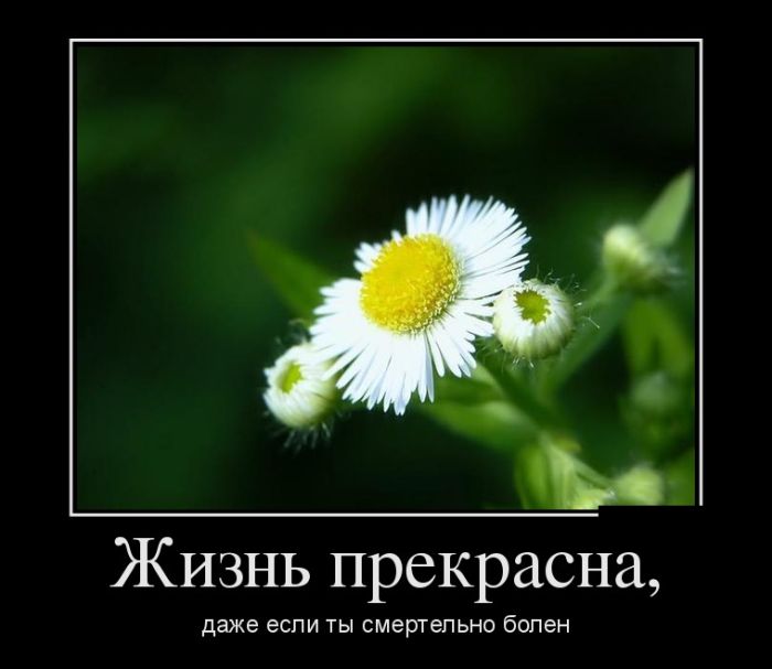 Демотиваторы со смыслом, приколы из жизни.