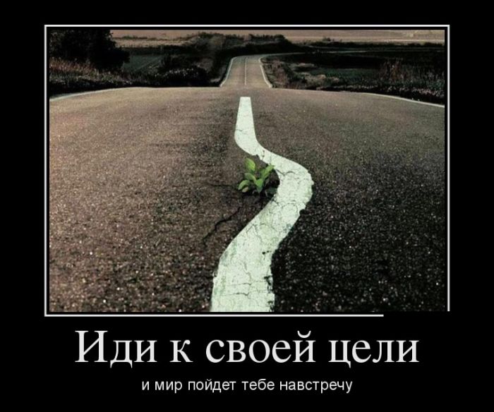 Демотиваторы, лучшие за день.