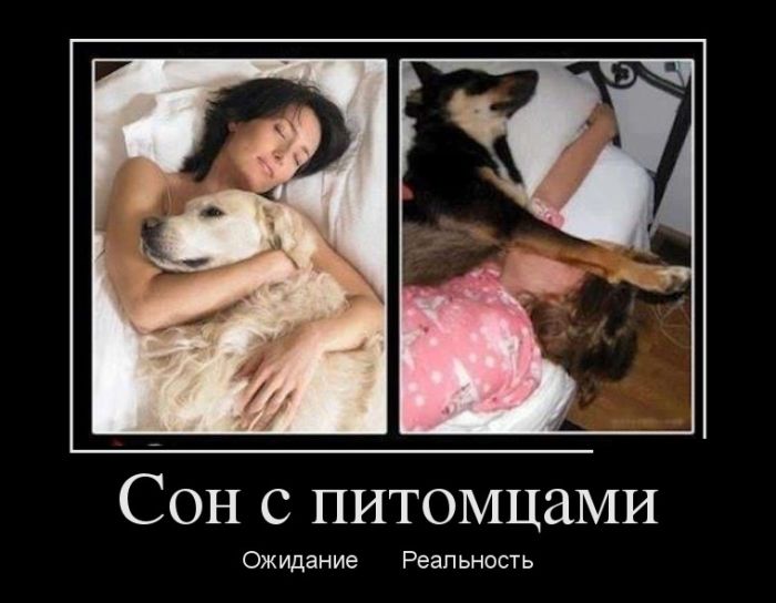 Прикольные демотиваторы, новые.