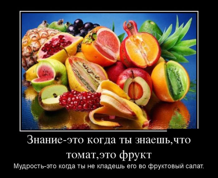 Демотиваторы с приколами, новые за день.
