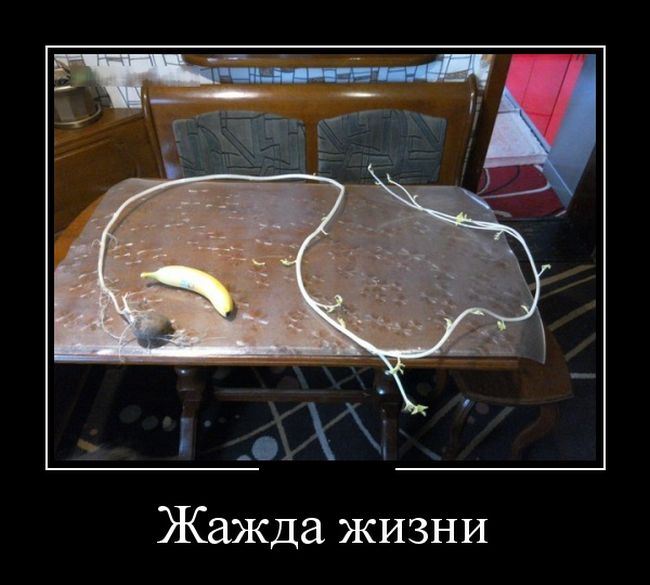 Демотиваторы ржачные и со смыслом.