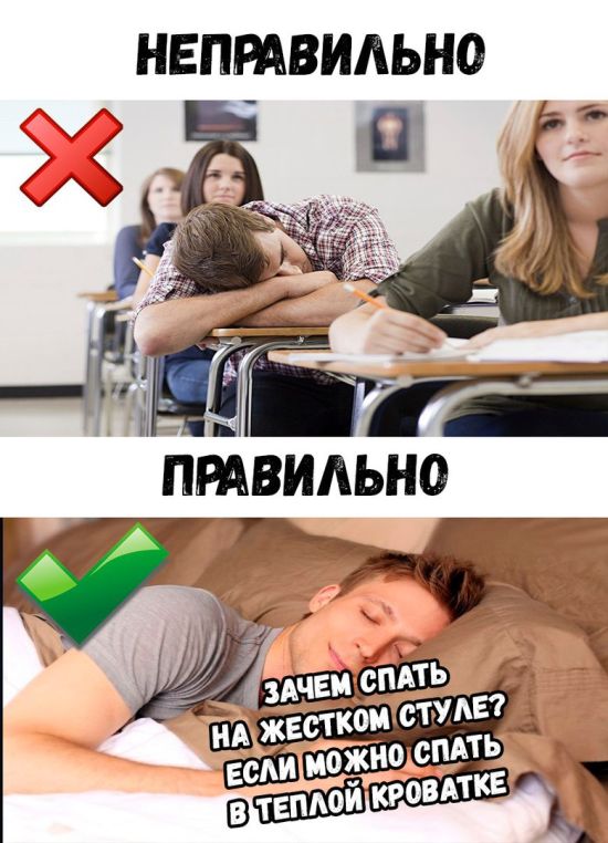 Приколы и смешные картинки, много их конечно не бывает
